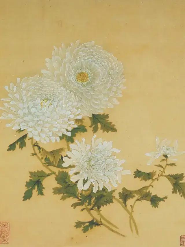 王延格：彩绘菊谱图册 名人名家 第40张