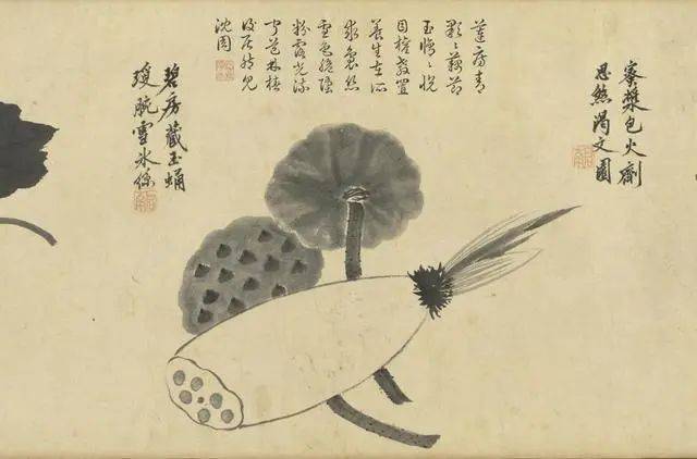 沈周：笔参造化，写生卷中见真章 名人名家 第8张
