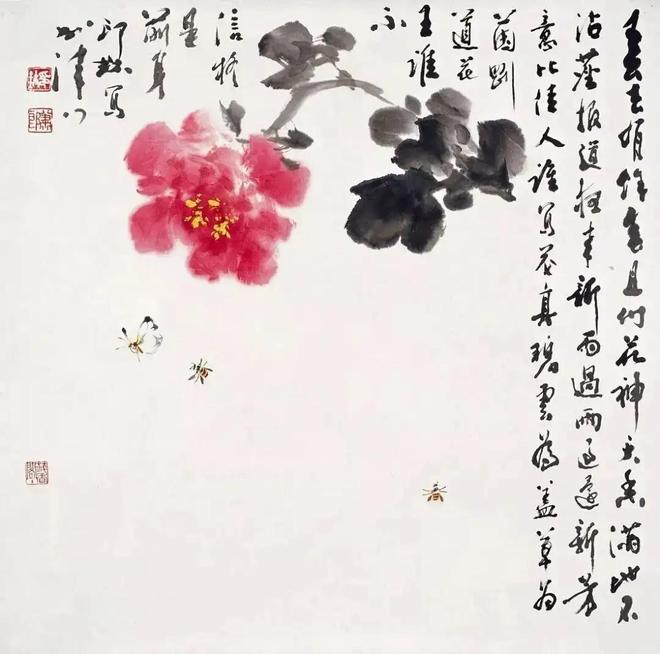 萧朗写意富贵牡丹，清新明快！ 名人名家 第14张