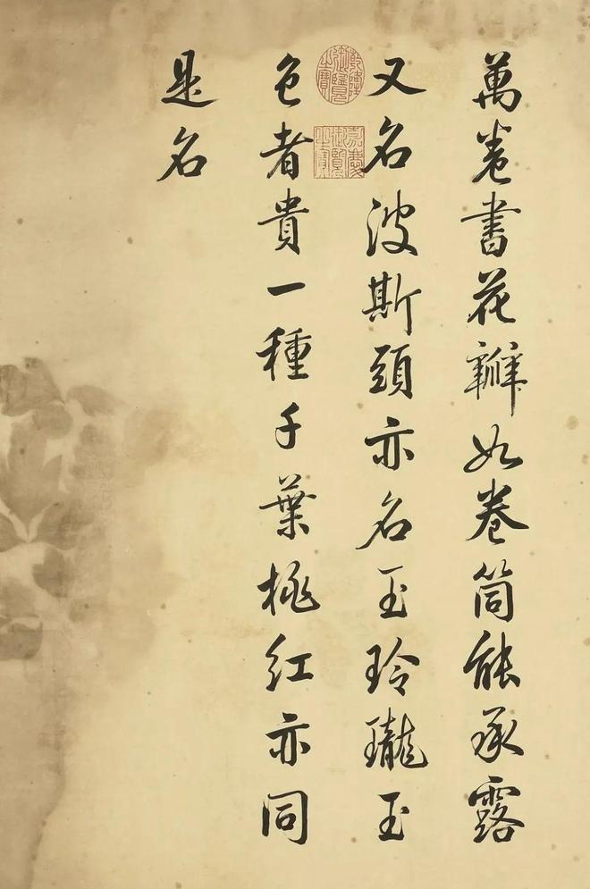邹一桂：牡丹二十四品 名人名家 第11张