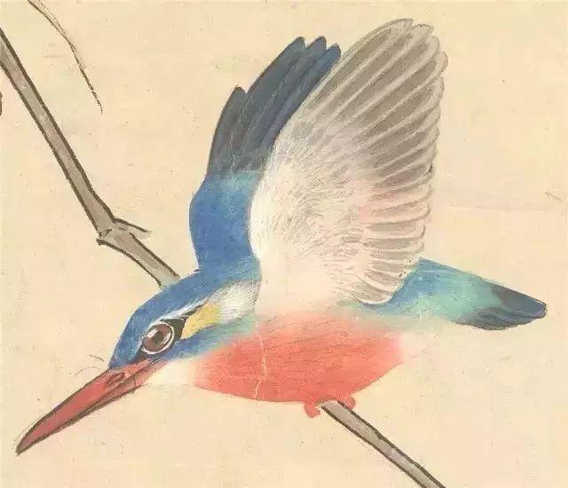 中国花鸟画画家张其翼绘画作品 名人名家 第5张