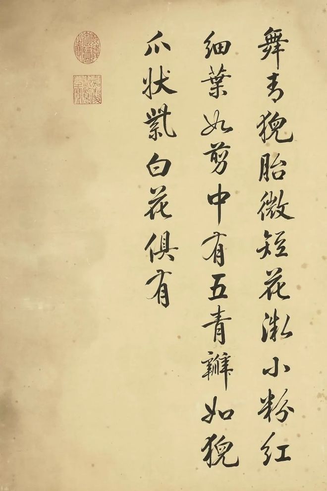邹一桂：牡丹二十四品 名人名家 第53张