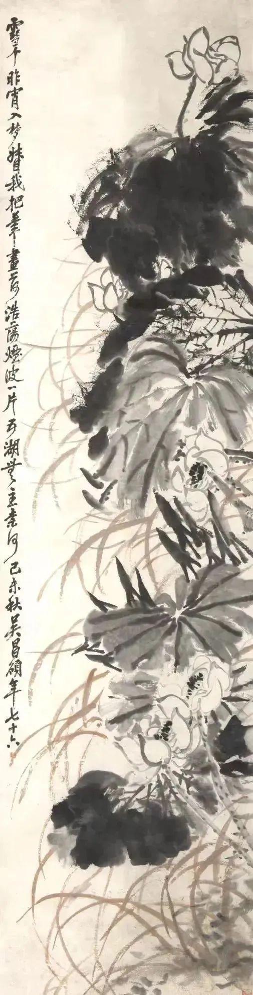 吴昌硕：画荷最忌呆黑 名人名家 第12张