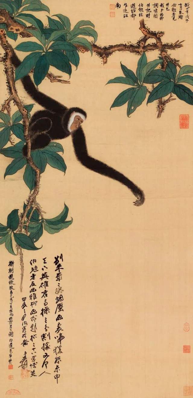 谢稚柳：一本值得品读的书 | 作品一律不准出境者 名人名家 第5张