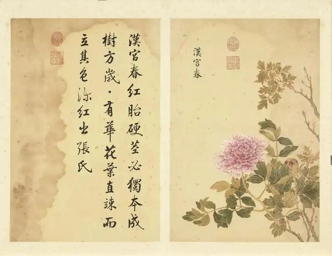 邹一桂：牡丹二十四品 名人名家 第40张