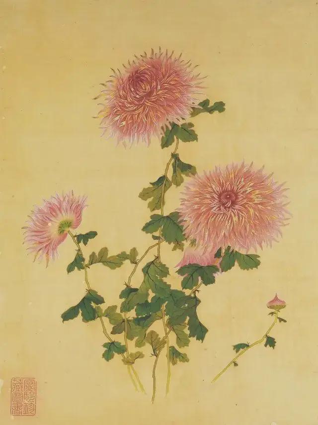 王延格：彩绘菊谱图册 名人名家 第31张