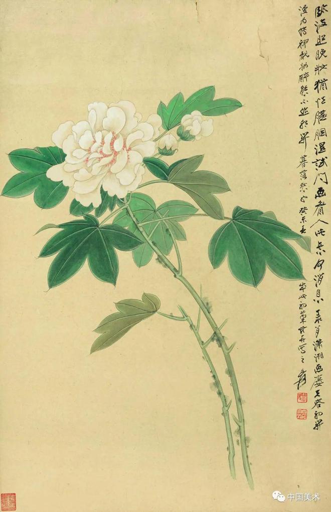 齐白石：一生酷爱画牡丹 名人名家 第9张