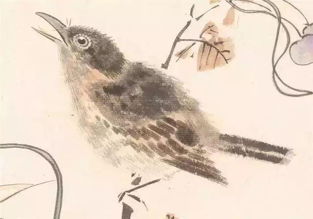 中国花鸟画画家张其翼绘画作品 名人名家 第19张