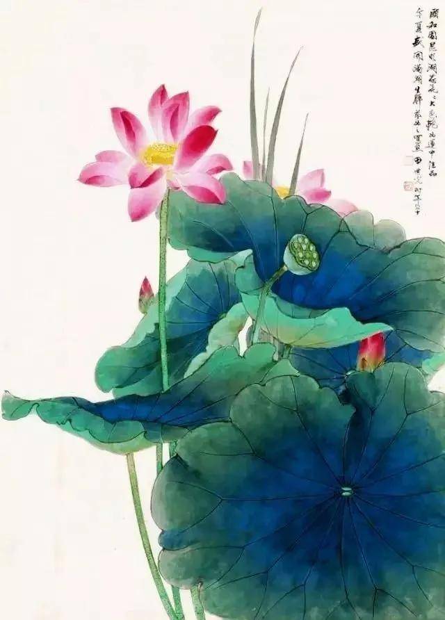 花鸟大师田世光画荷，太漂亮啦！ 名人名家 第1张