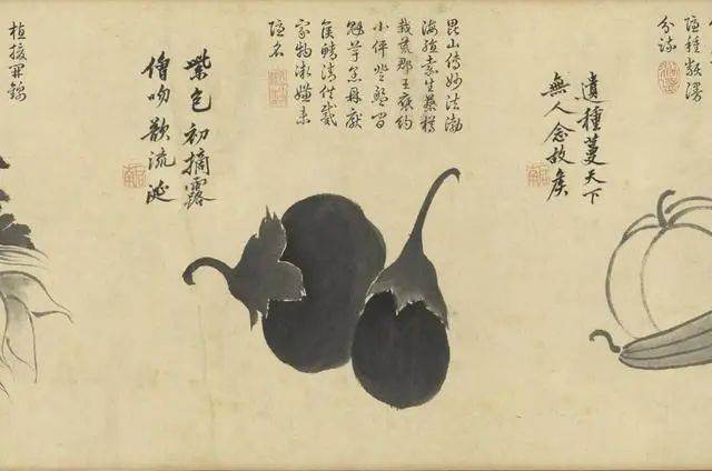 沈周：笔参造化，写生卷中见真章 名人名家 第10张