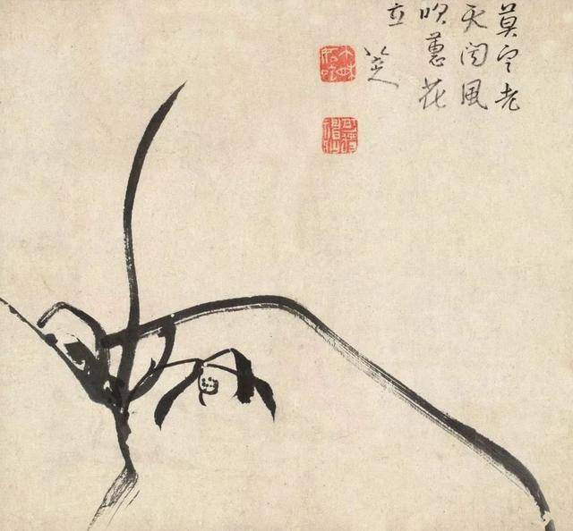 八大山人花鸟：面貌独特，笔墨取胜！ 名人名家 第1张
