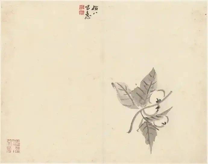 陈撰:寥寥几笔的花卉，格调超逸 名人名家 第1张