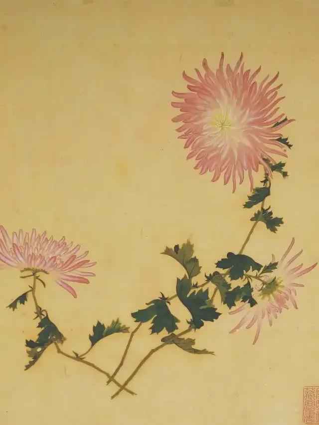 王延格：彩绘菊谱图册 名人名家 第41张