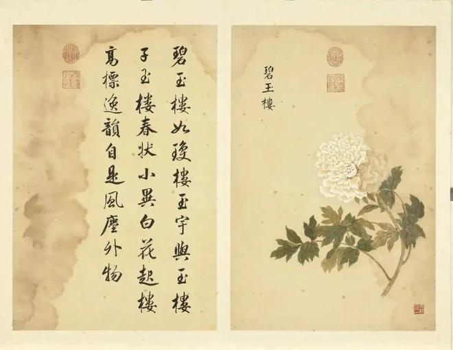 邹一桂：牡丹二十四品 名人名家 第43张