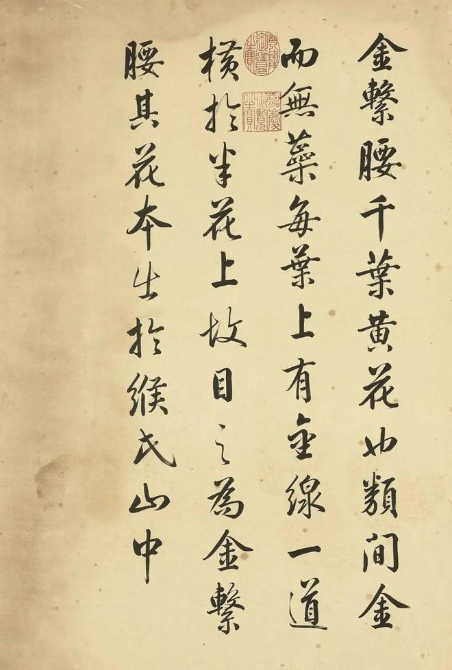 邹一桂：牡丹二十四品 名人名家 第17张