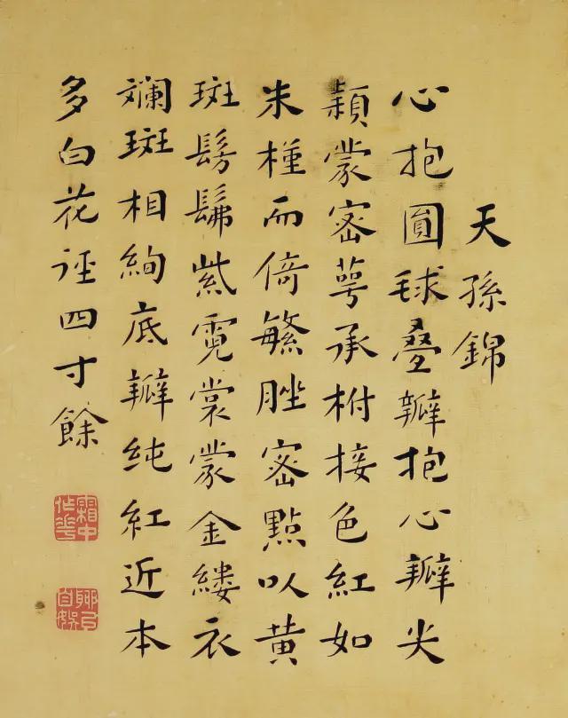 王延格：彩绘菊谱图册 名人名家 第16张