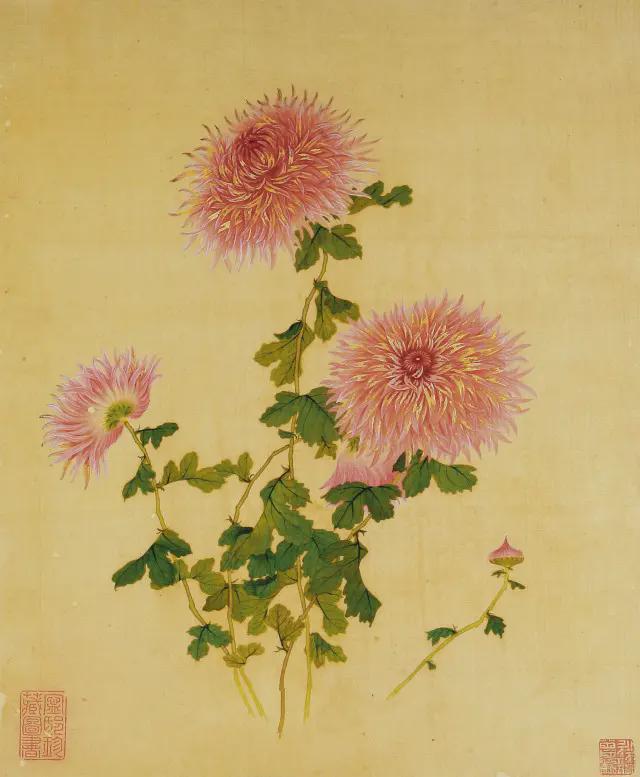 王延格：彩绘菊谱图册 名人名家 第15张