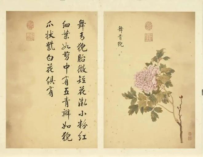 邹一桂：牡丹二十四品 名人名家 第52张