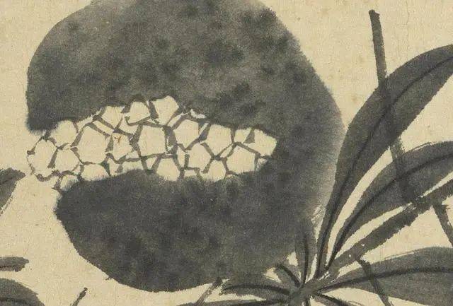沈周：笔参造化，写生卷中见真章 名人名家 第27张