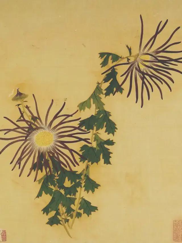 王延格：彩绘菊谱图册 名人名家 第45张