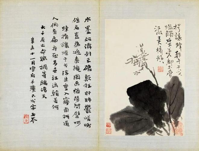 张大千珍赏的水墨花卉册，令人玩味无尽 名人名家 第9张