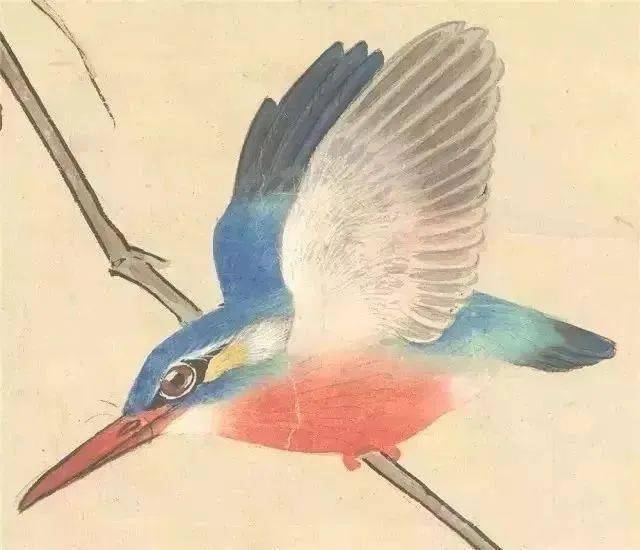 中国杰出的花鸟画家张其翼花鸟画作品赏析 名人名家 第3张