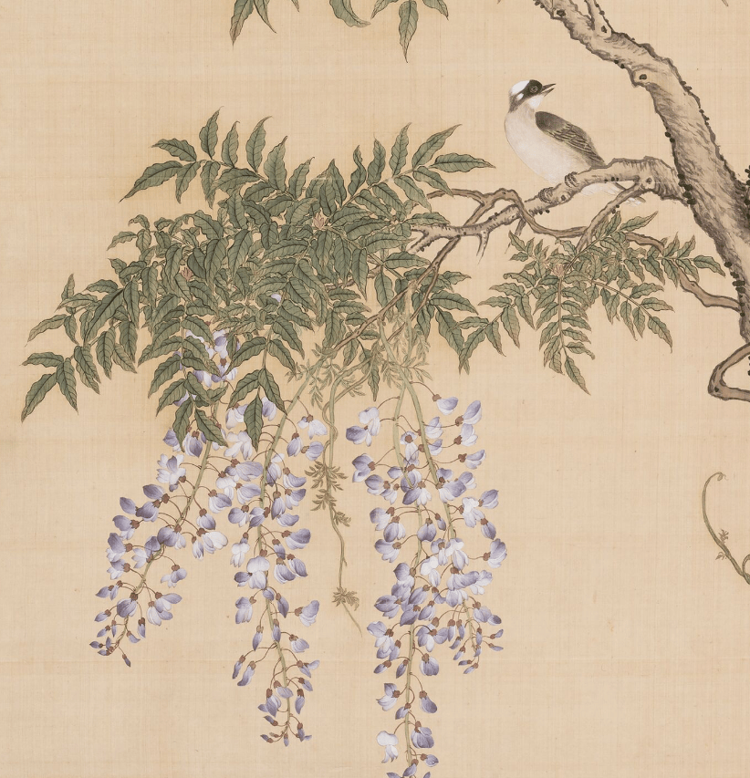 蒋廷锡《藤花山雀图》 历代国画 第6张