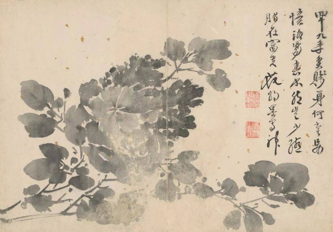 徐渭：悬崖边缘的狂舞 名人名家 第9张