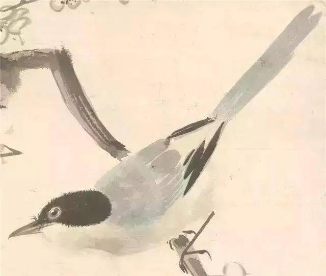 中国杰出的花鸟画家张其翼花鸟画作品赏析 名人名家 第4张