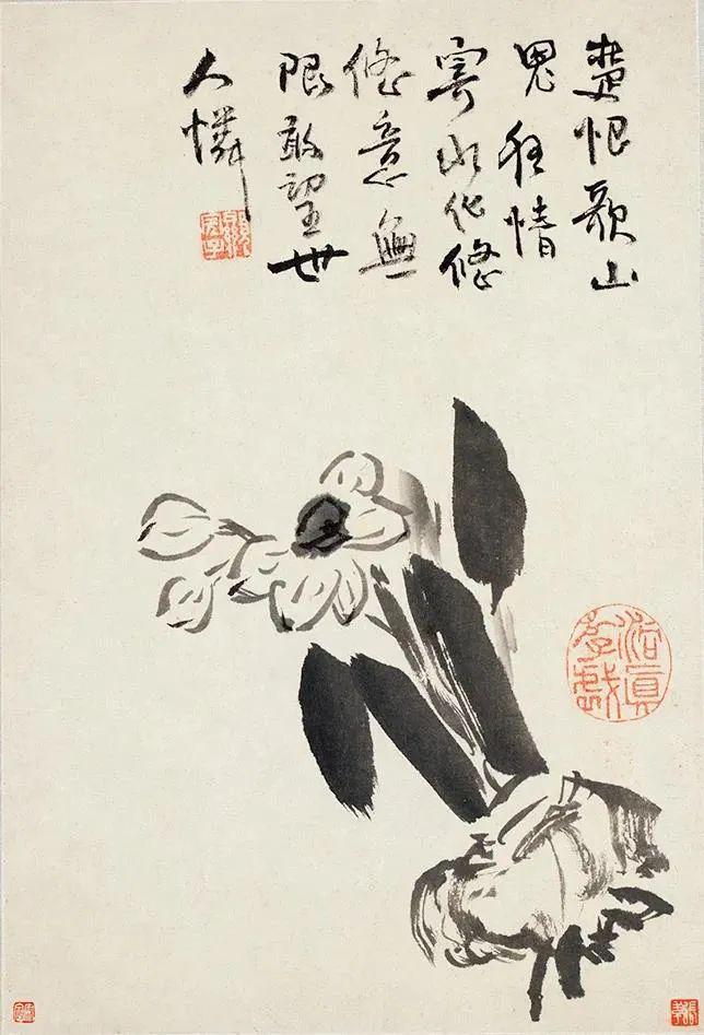 张大千珍赏的水墨花卉册，令人玩味无尽 名人名家 第2张