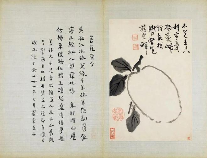 张大千珍赏的水墨花卉册，令人玩味无尽 名人名家 第14张