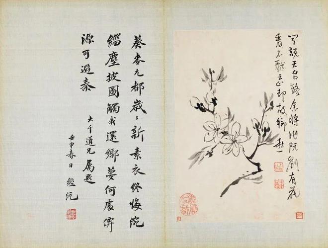张大千珍赏的水墨花卉册，令人玩味无尽 名人名家 第7张