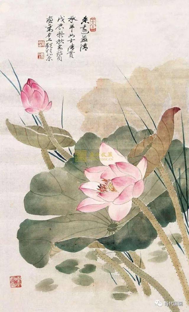 当代工笔花鸟画“女状元”—— 俞致贞 名人名家 第47张