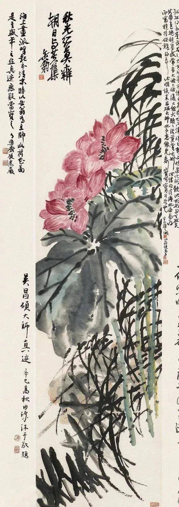吴昌硕的画荷笔墨搭配，相得益彰 名人名家 第12张