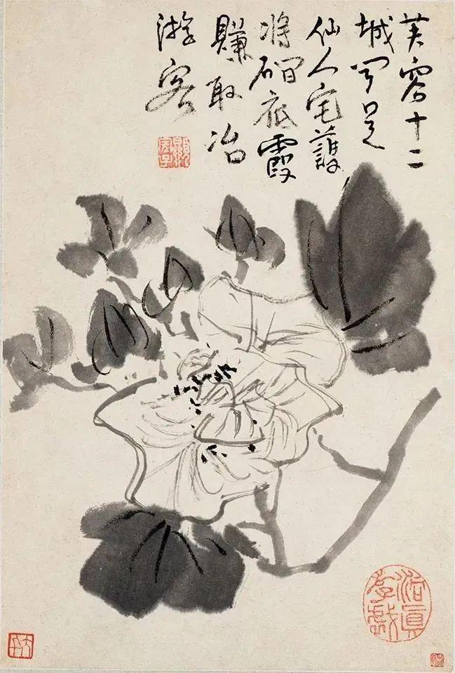 张大千珍赏的水墨花卉册，令人玩味无尽 名人名家 第3张