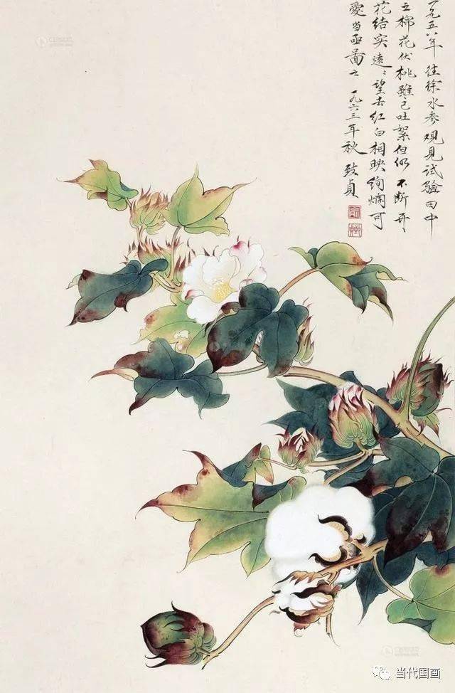 当代工笔花鸟画“女状元”—— 俞致贞 名人名家 第26张