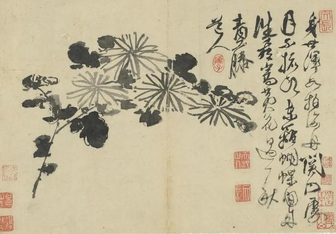 明徐渭：写意花卉册 历代国画 第8张