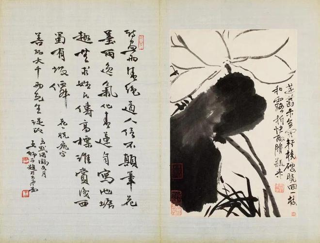 张大千珍赏的水墨花卉册，令人玩味无尽 名人名家 第10张