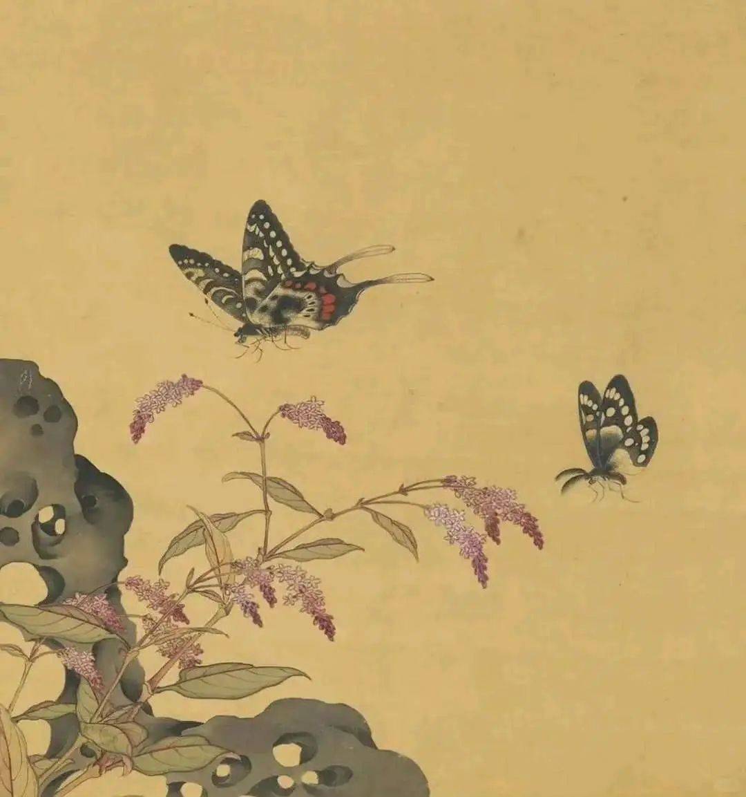 钱选《摹古花蜨图册》 历代国画 第9张