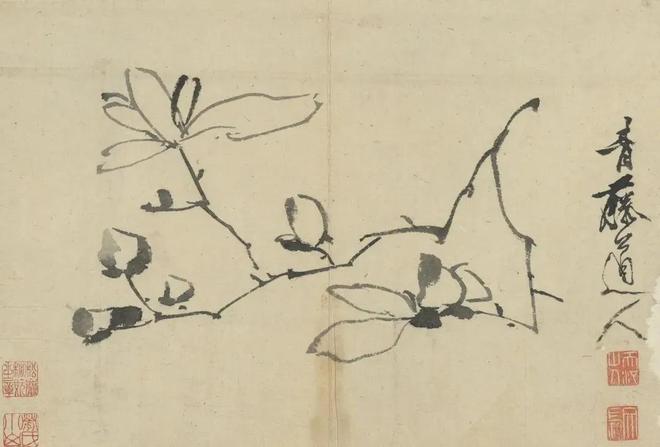 明徐渭：写意花卉册 历代国画 第3张