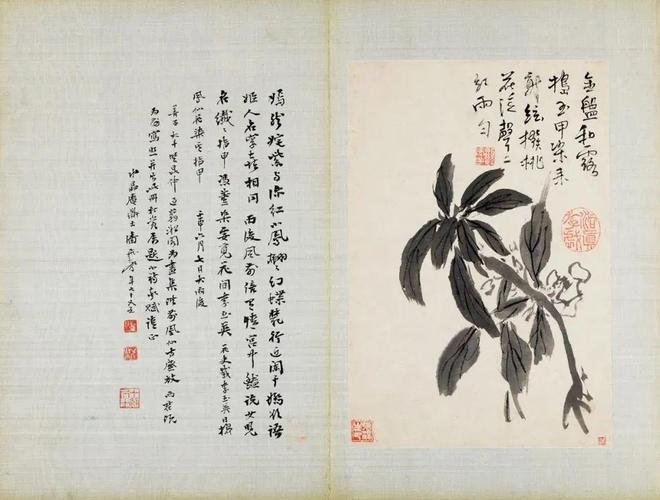 张大千珍赏的水墨花卉册，令人玩味无尽 名人名家 第12张