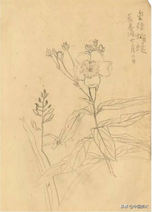 潘天寿：对物写生要懂神，对景写生要懂舍 名人名家 第24张