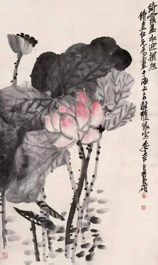 吴昌硕的画荷笔墨搭配，相得益彰 名人名家 第38张