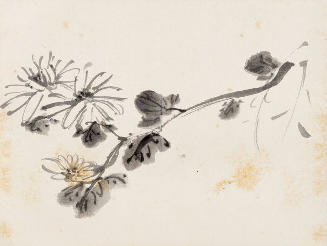 陈师曾：香远益清册 名人名家 第11张