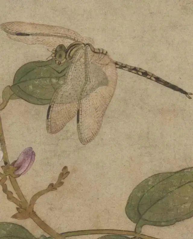 王渊 元代绝艺花鸟画家 名人名家 第3张