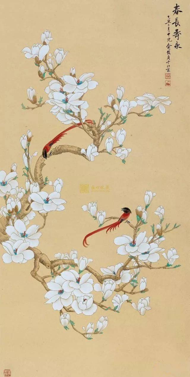 当代工笔花鸟画“女状元”—— 俞致贞 名人名家 第8张