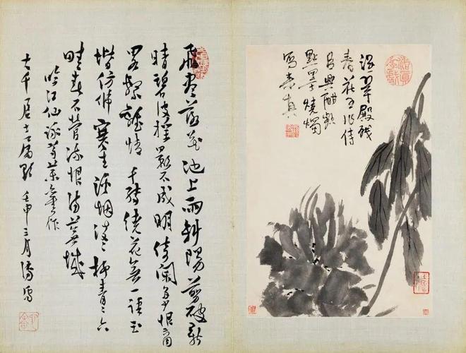 张大千珍赏的水墨花卉册，令人玩味无尽 名人名家 第8张