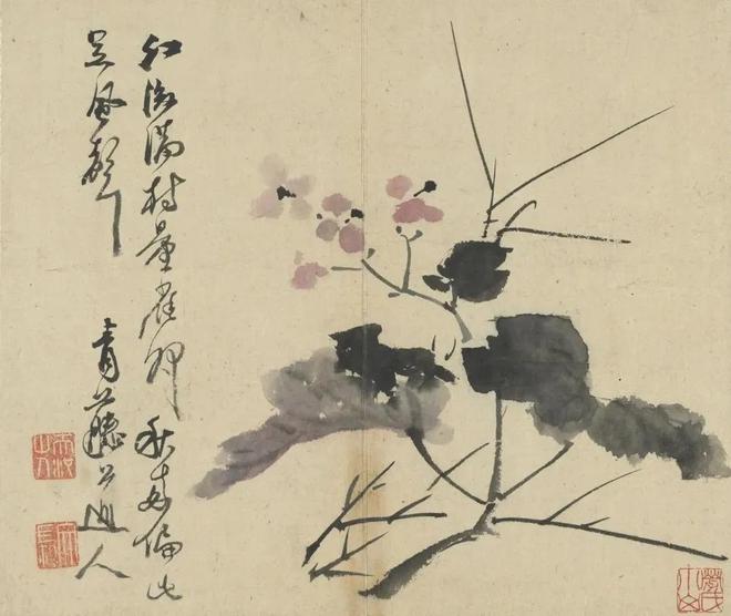 明徐渭：写意花卉册 历代国画 第5张