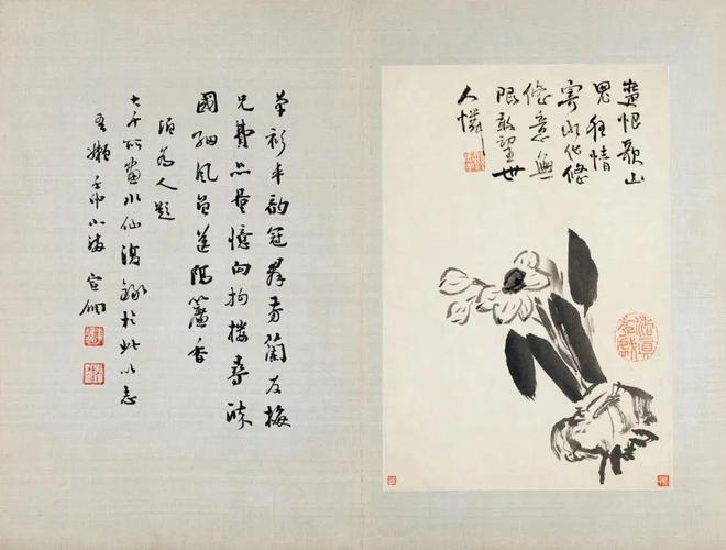 张大千珍赏的水墨花卉册，令人玩味无尽 名人名家 第16张