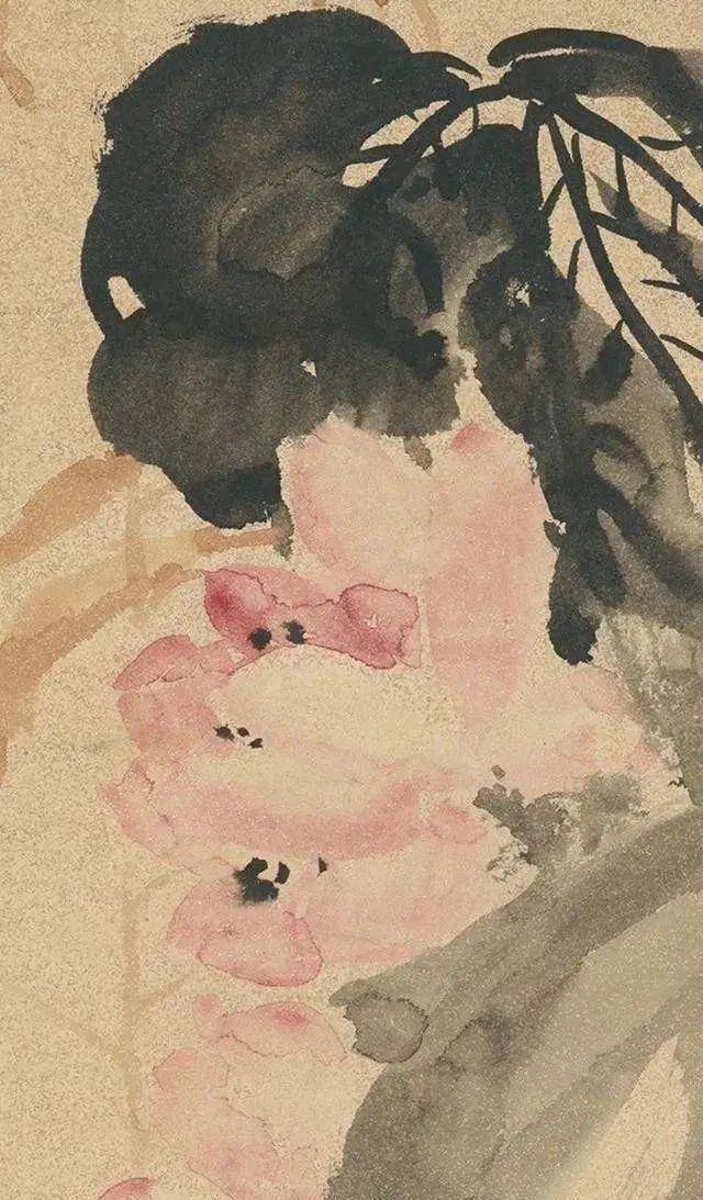 吴昌硕的画荷笔墨搭配，相得益彰 名人名家 第4张
